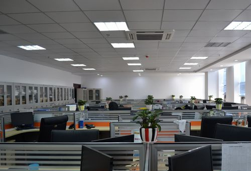 女生學經濟學就業前景：為啥這專業這么香？:專業前景